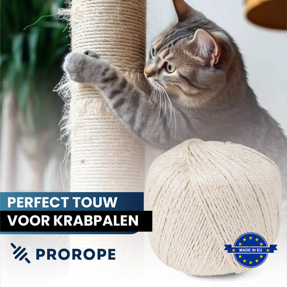 Un chat gris gratte un poteau entouré de corde en sisal de 8 mm, à côté d'un rouleau de corde en sisal. Texte dans l'image : « Corde parfaite pour griffoirs » et le logo Prorope avec « Fabriqué en UE ».